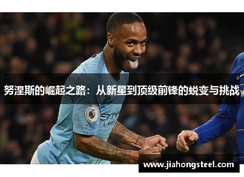 努涅斯的崛起之路：从新星到顶级前锋的蜕变与挑战